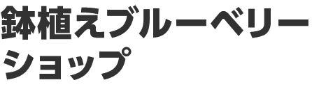 鉢植えブルーベリーショップ